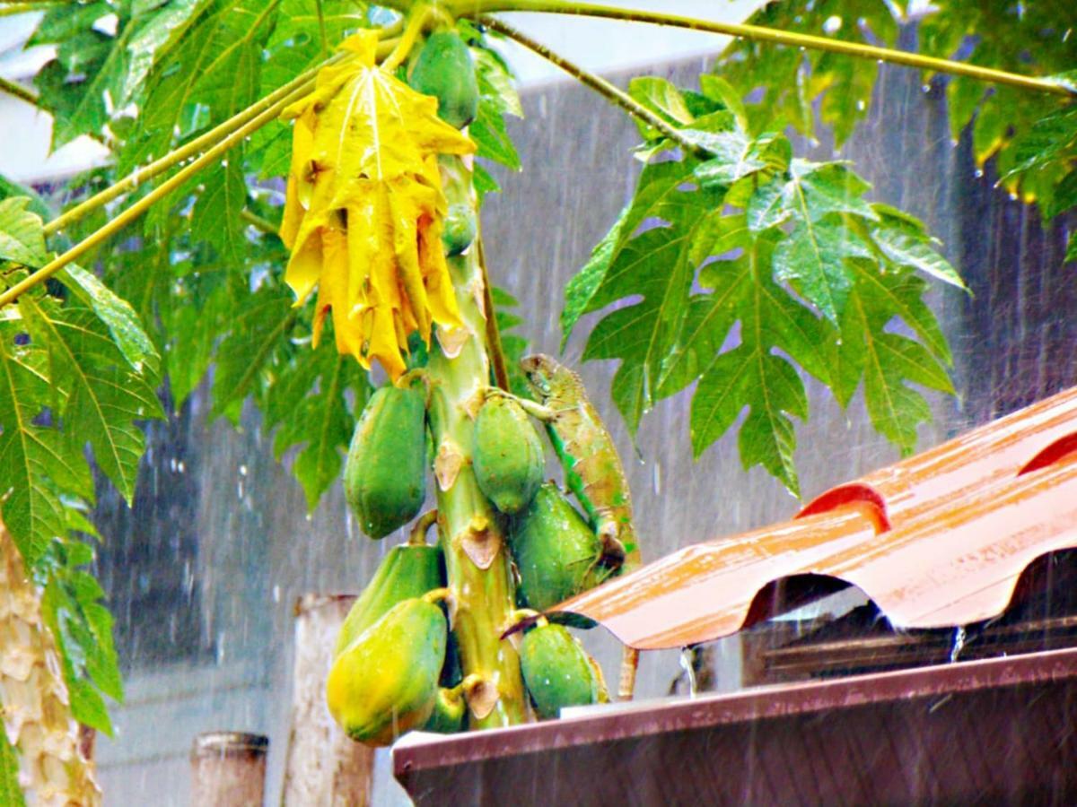 Cabanas Colindas Cidade do Panamá Exterior foto